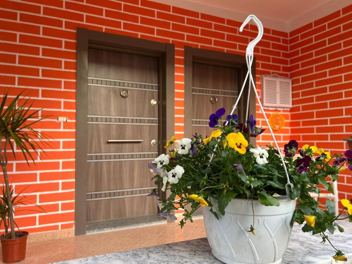 Chestnut Yard Villa Tirana Exterior photo